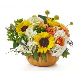 Ceramic Pumpkin Planter